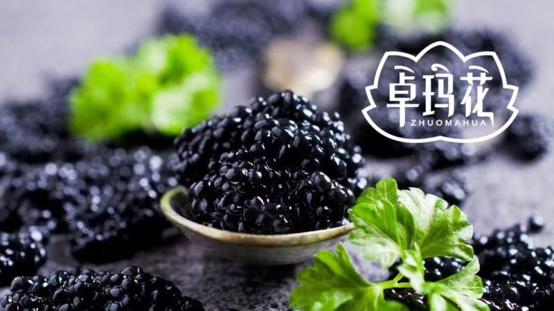 Zhuoma Flower Mulberry Enzyme 2