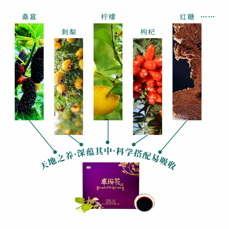 Zhuoma Flower Mulberry Enzyme 4
